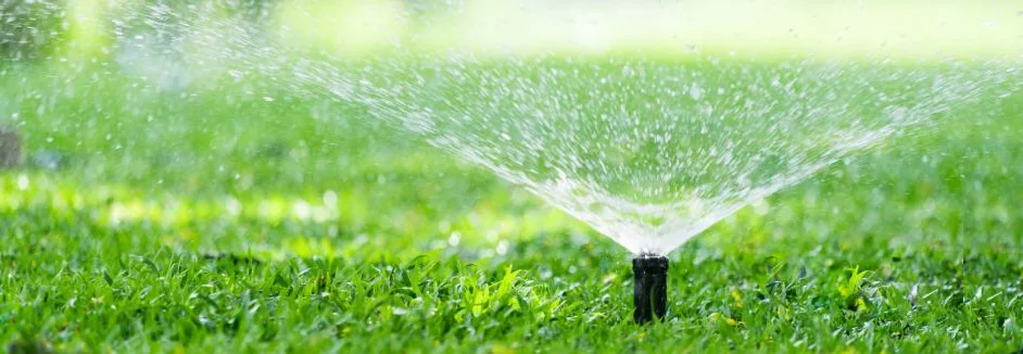 Sprinkler bewässert Rasen